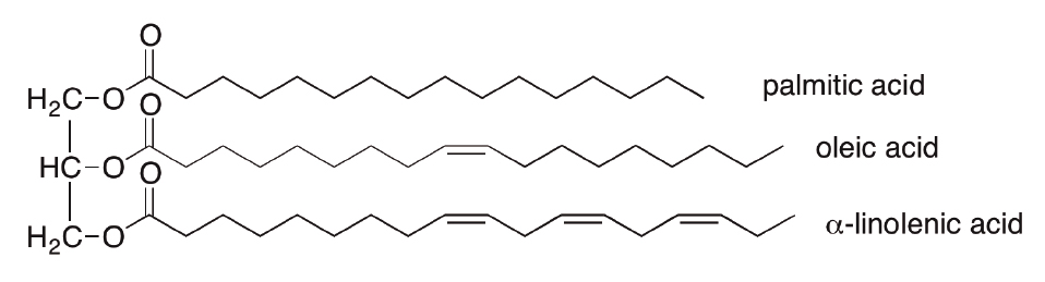 figure-1c.jpg